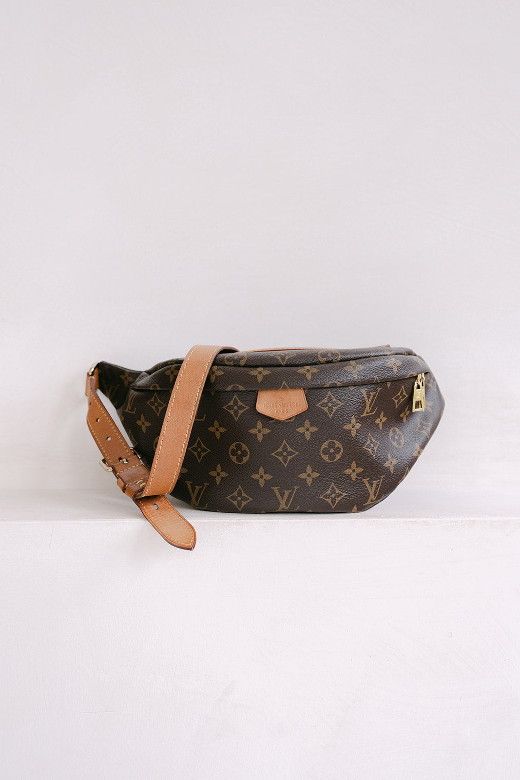 LV Monogram Bumbag