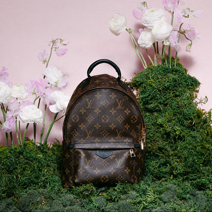 Louis Vuitton Monogram Palm Springs Backpack PM