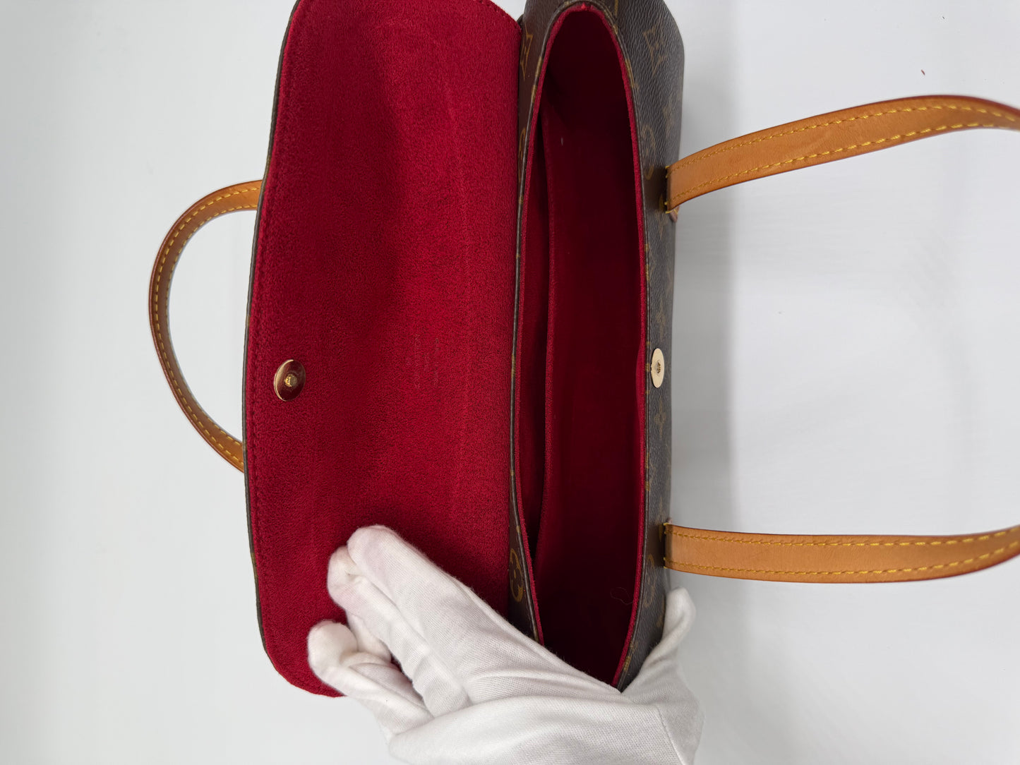 Louis Vuitton Monogram Sonatine bag