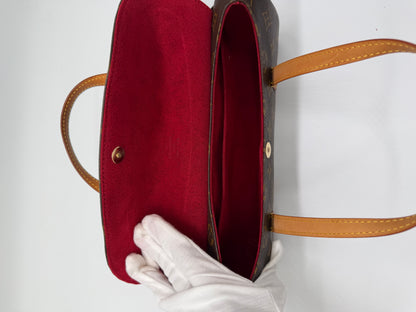 Louis Vuitton Monogram Sonatine bag
