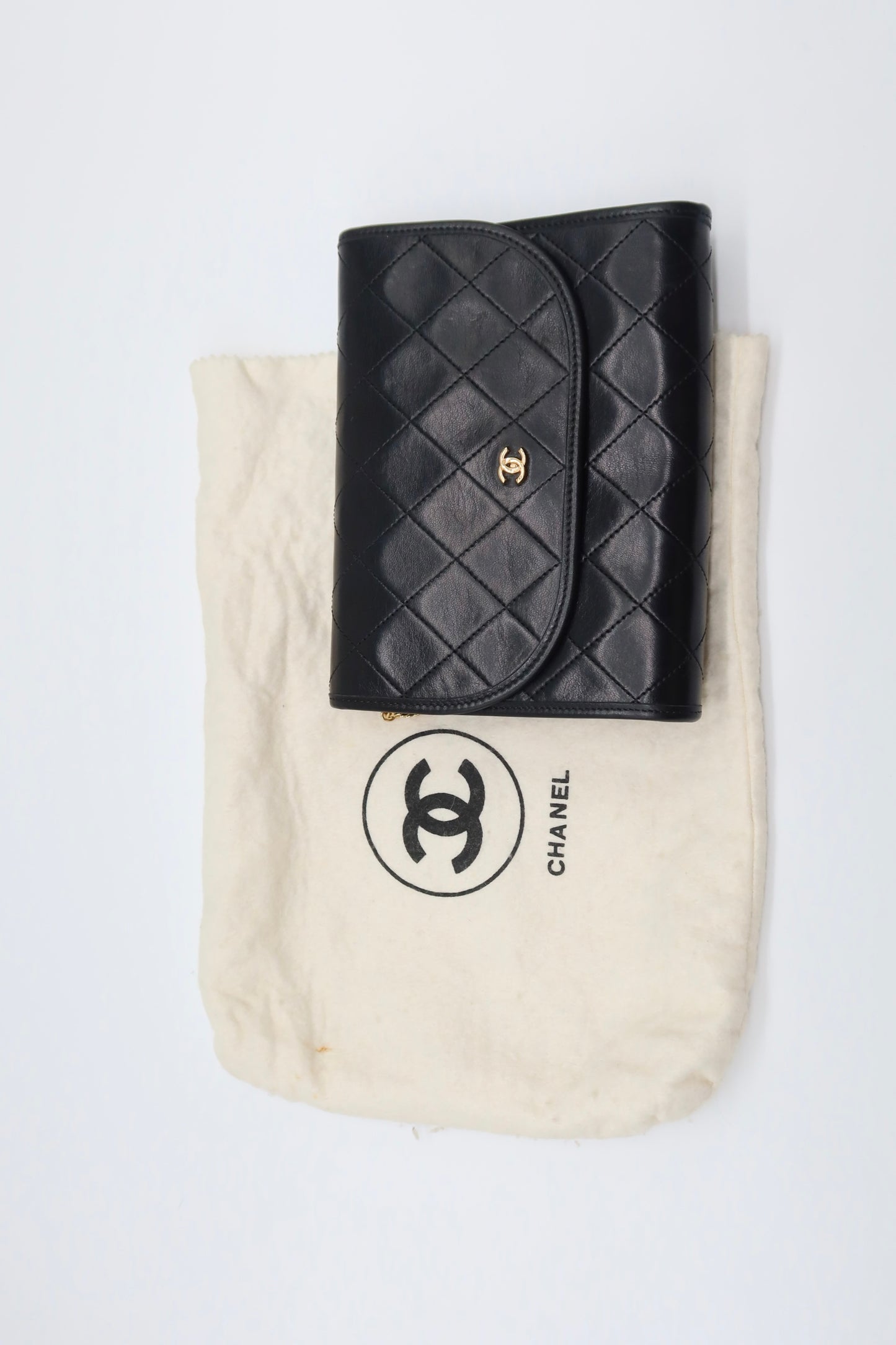 Vintage Chanel Wallet on Chain