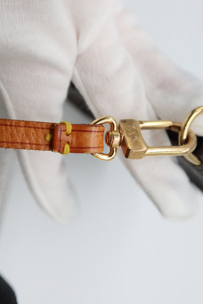 Louis Vuitton Monogram Pochette