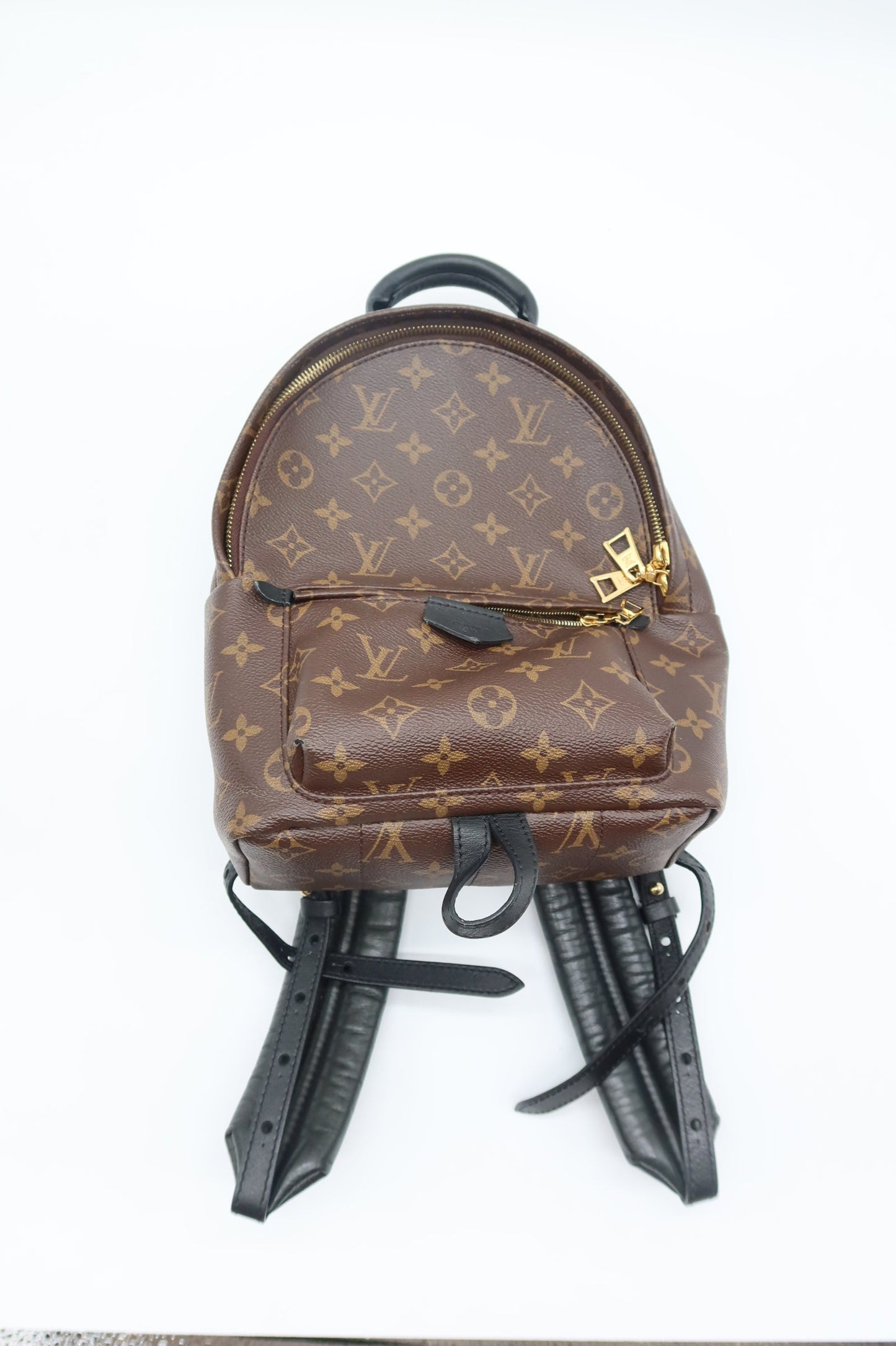 Louis Vuitton Monogram Palm Springs Backpack PM