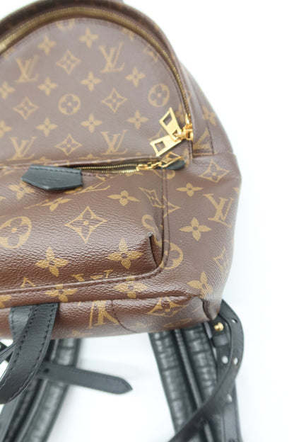 Louis Vuitton Monogram Palm Springs Backpack PM