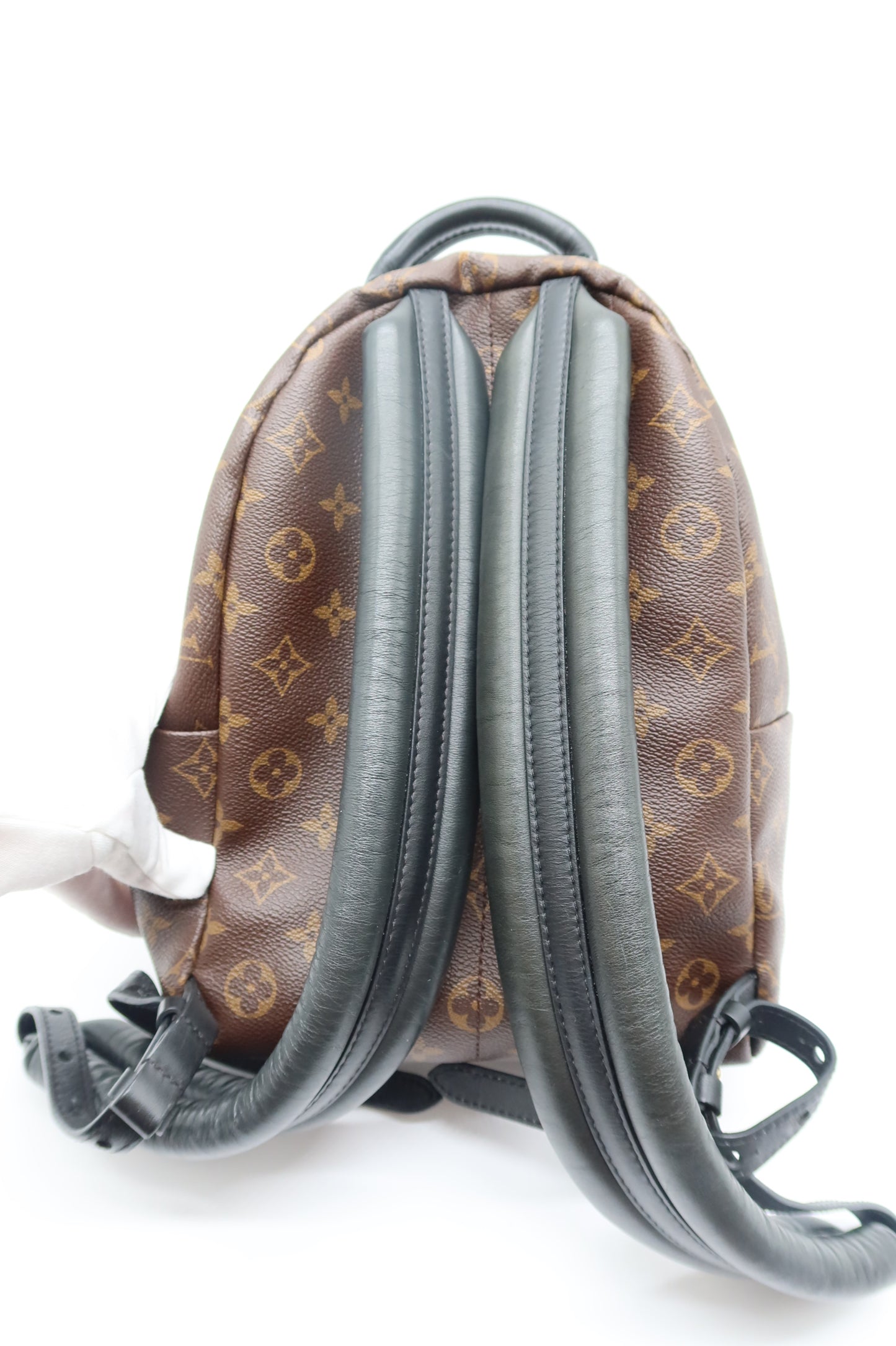 Louis Vuitton Monogram Palm Springs Backpack PM