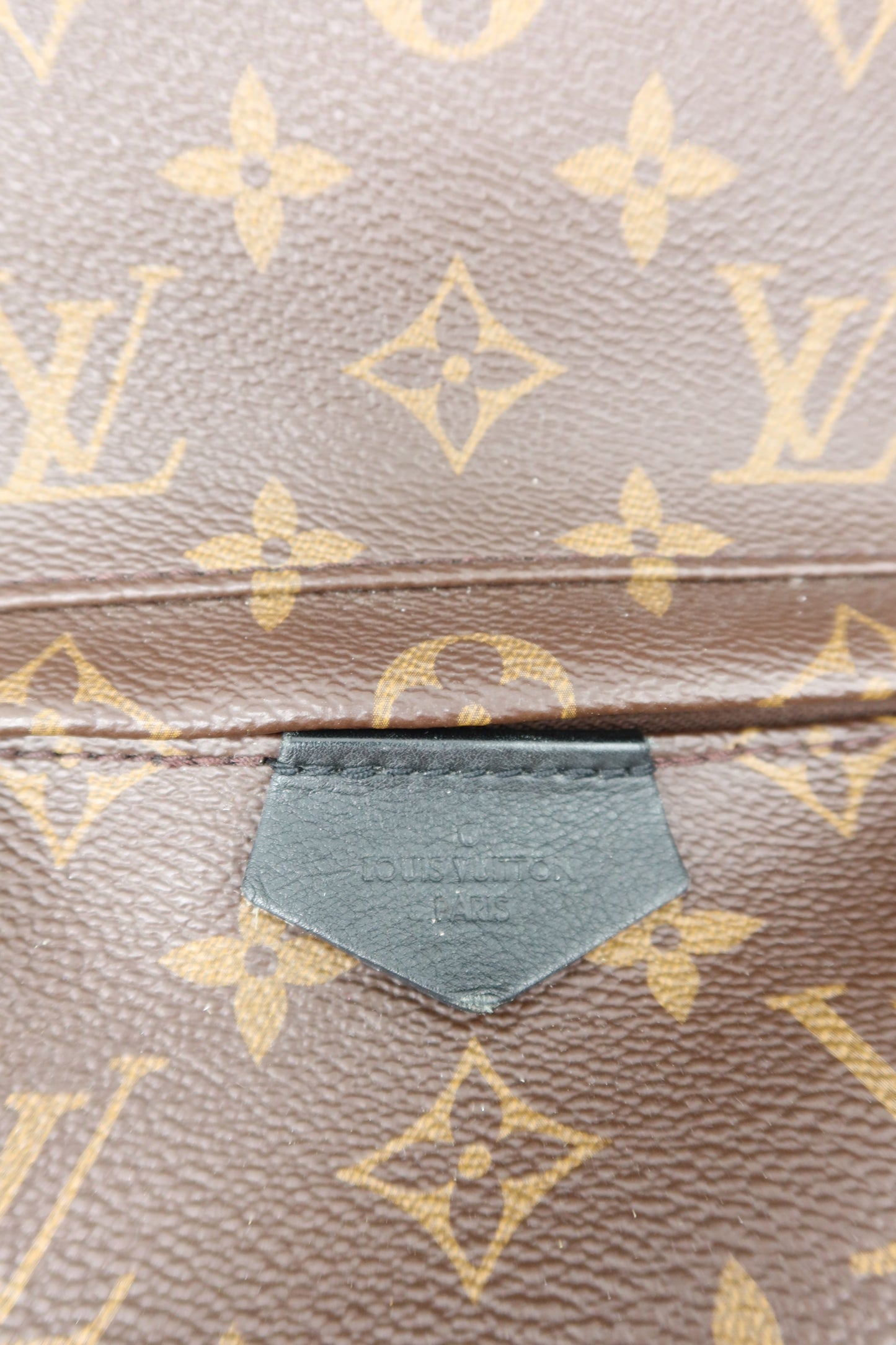 Louis Vuitton Monogram Palm Springs Backpack PM