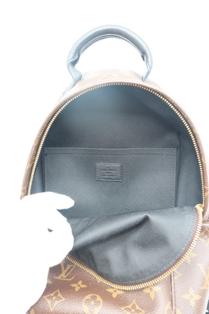 Louis Vuitton Monogram Palm Springs Backpack PM