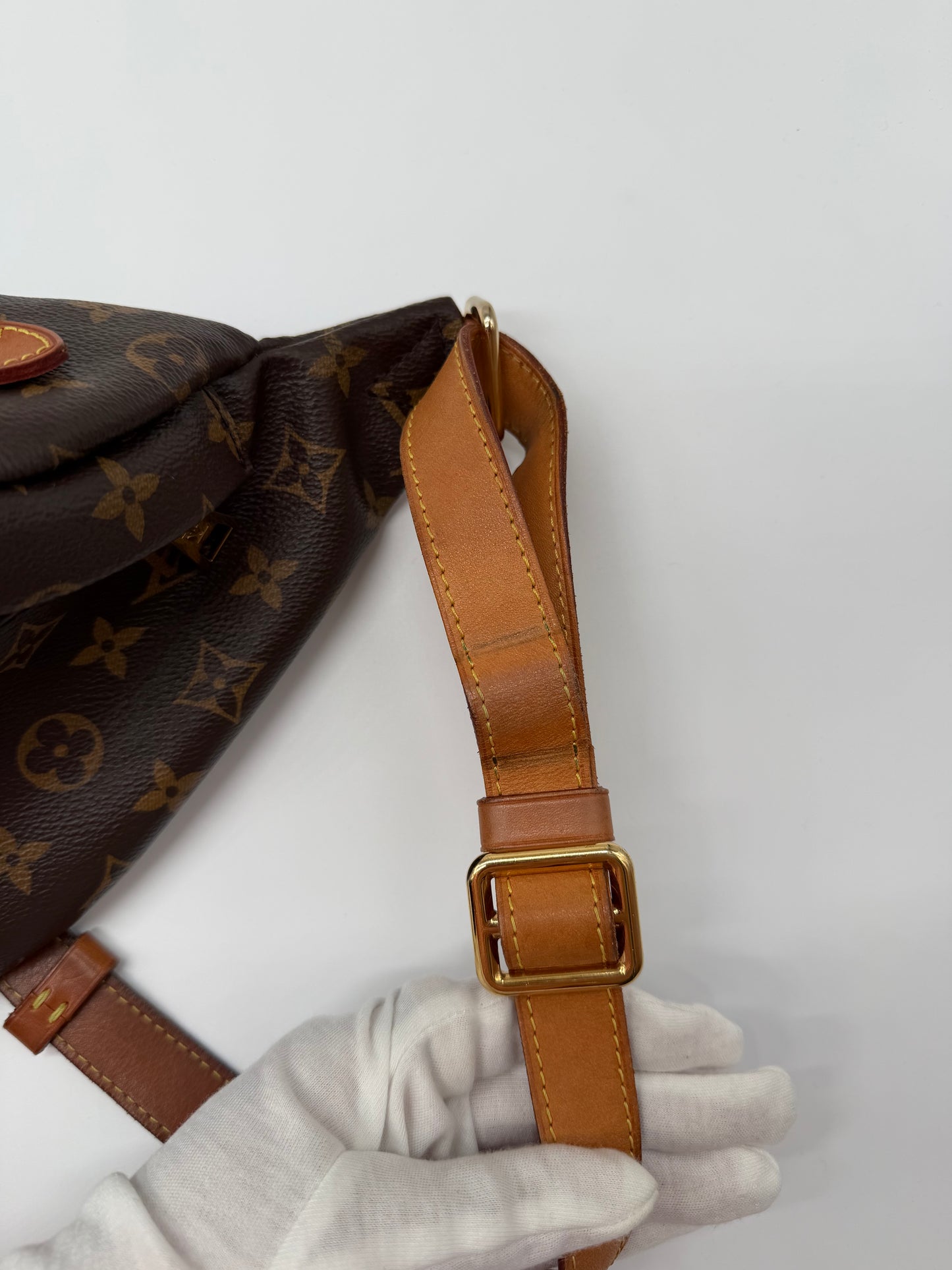 LV Monogram Bumbag