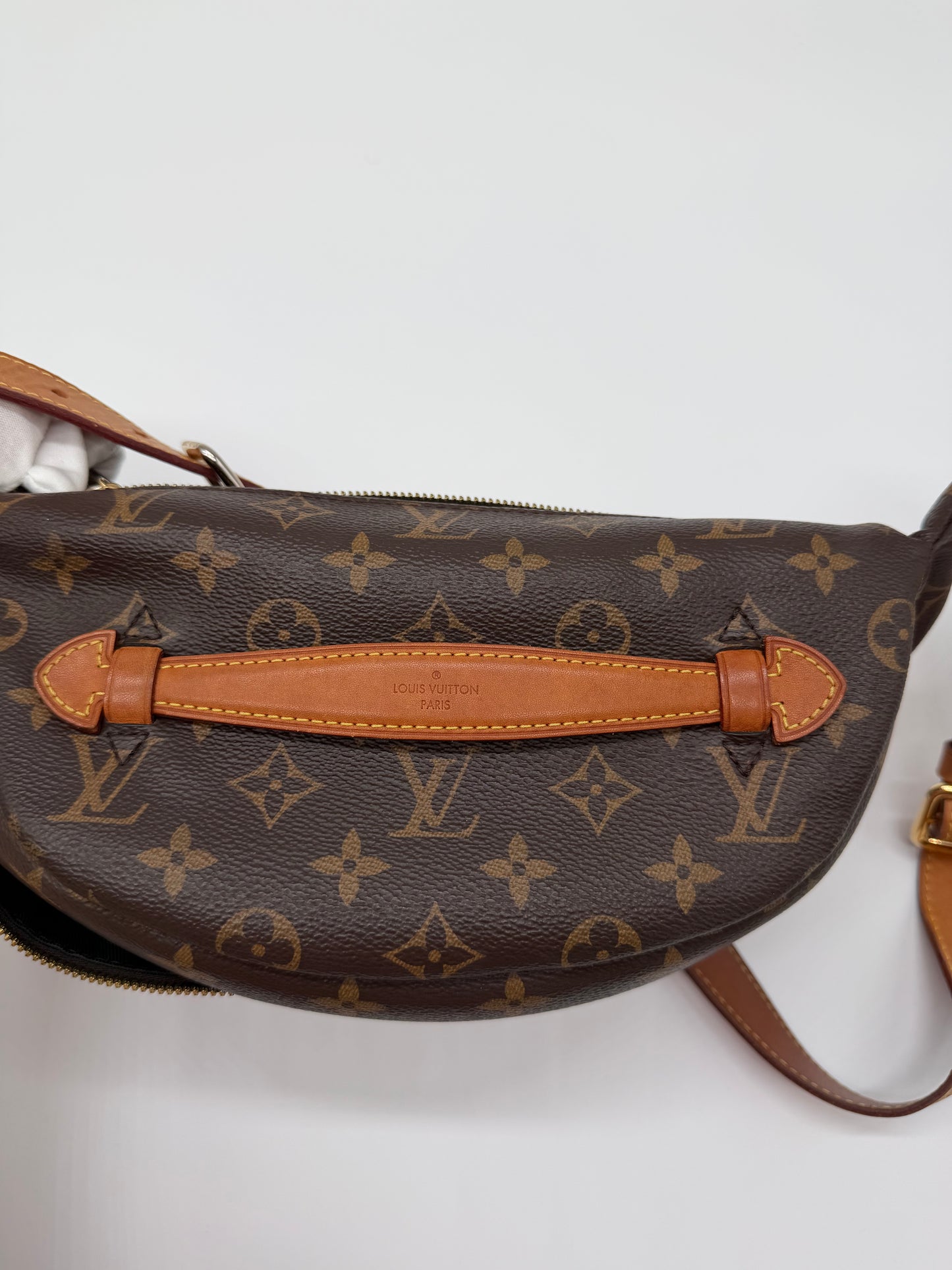 LV Monogram Bumbag