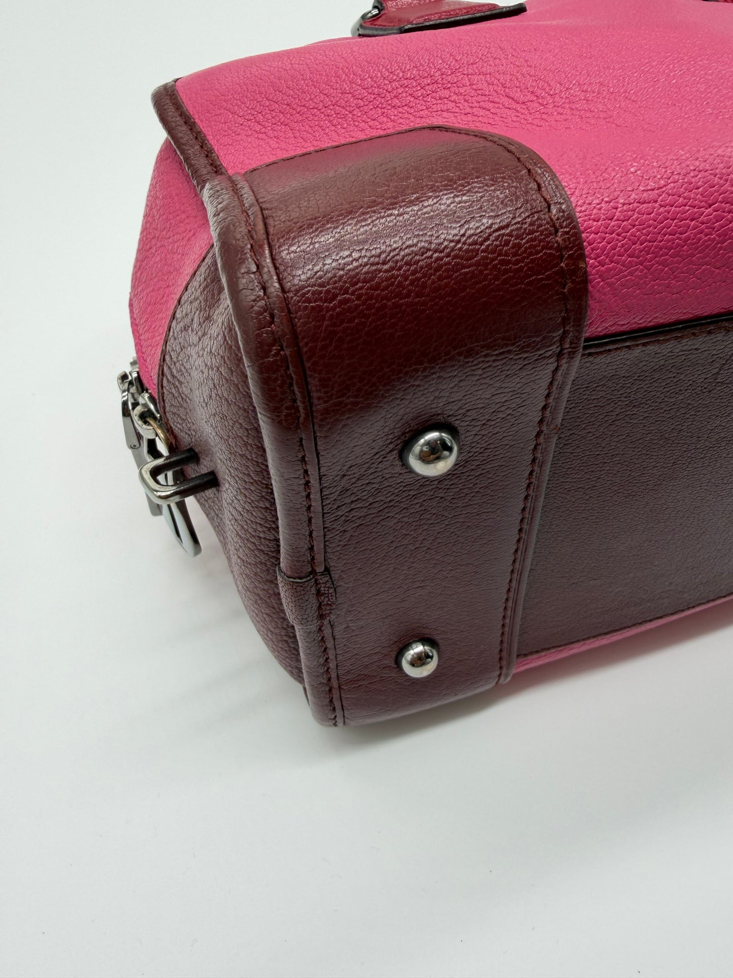 Loewe Amazona 28 Two-Tone Leather Satchel