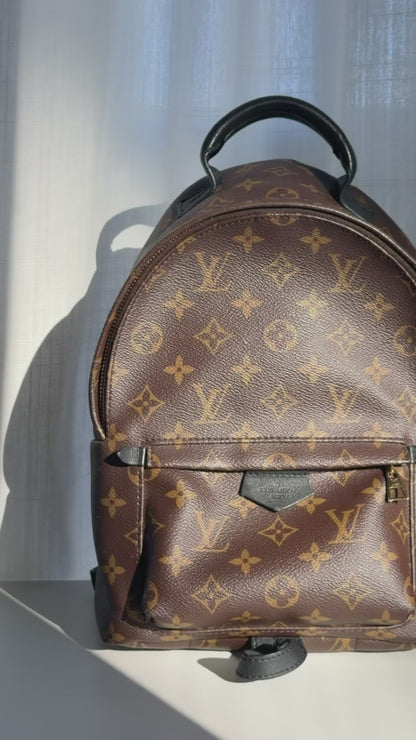 Louis Vuitton Monogram Palm Springs Backpack PM